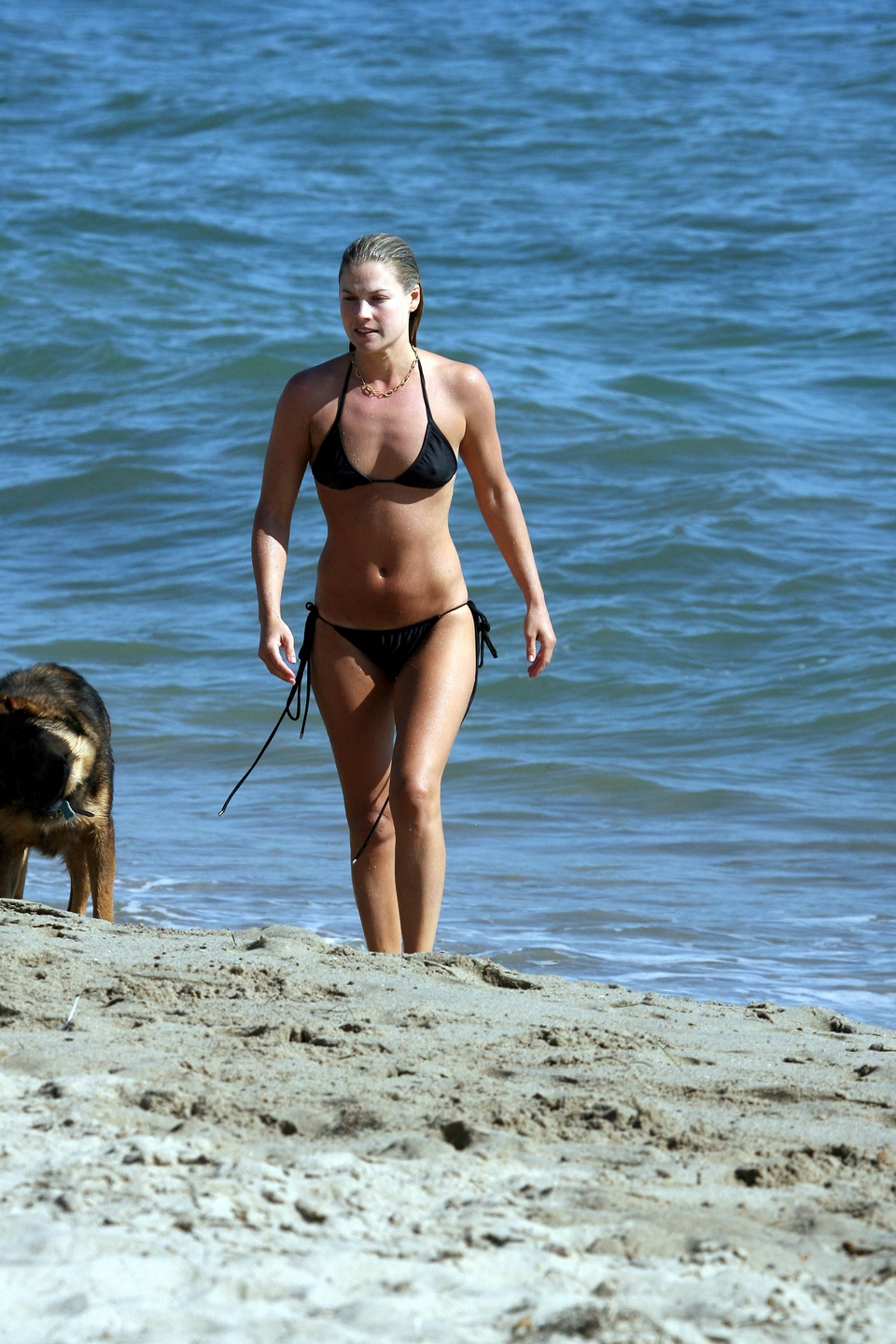 Ali Larter and Hayes MacArthur on the beach with her dogs! hq18. 